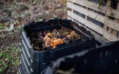 Composting at Home: Save Money, Cut Waste, Grow Better Plants